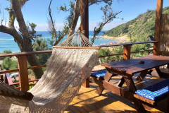 IMG-20191010-WA0011