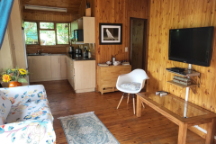 Upper-unit-tv-area2