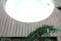 Picture587